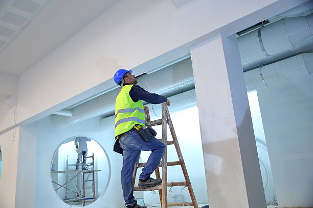 Biohazard Mold Removal in San Saba, TX